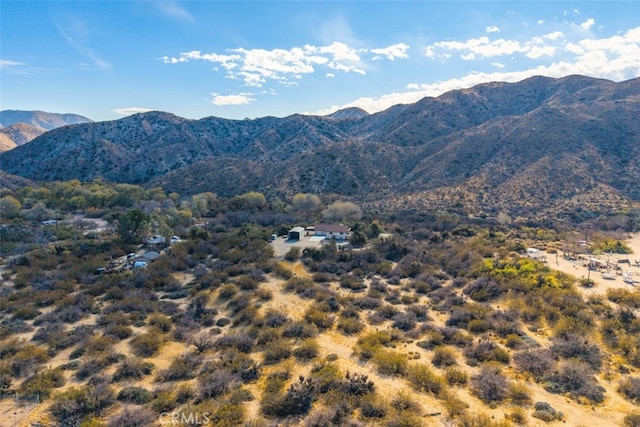 view of mountain feature