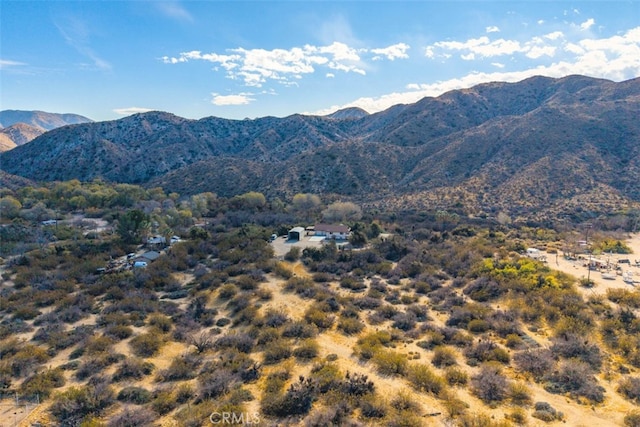 52324 Canyon Rd, Morongo Valley, CA 92256 - photo 45
