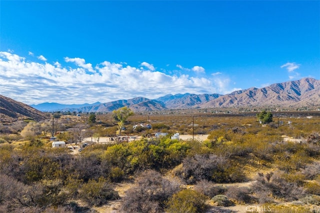 52324 Canyon Rd, Morongo Valley, CA 92256 - photo 58