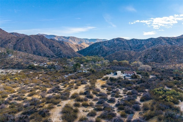 52324 Canyon Rd, Morongo Valley, CA 92256 - photo 44