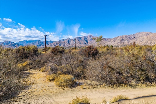52324 Canyon Rd, Morongo Valley, CA 92256 - photo 51