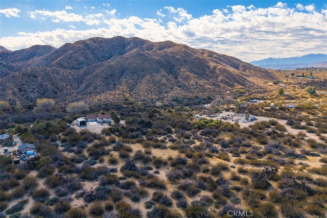 52324 Canyon Rd, Morongo Valley, CA 92256 - photo 46