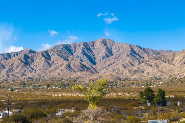 52324 Canyon Rd, Morongo Valley, CA 92256 - photo 47