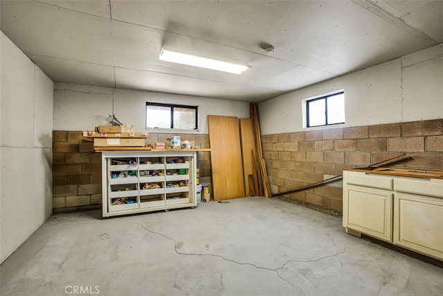 basement featuring plenty of natural light