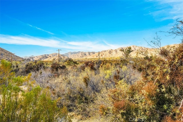 view of mountain feature