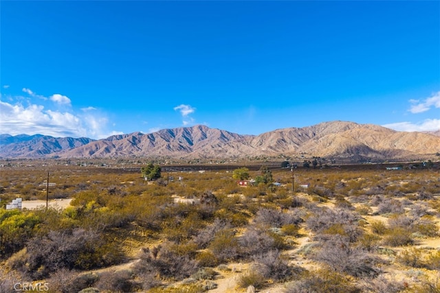 52324 Canyon Rd, Morongo Valley, CA 92256 - photo 57