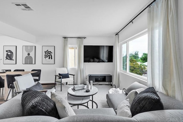 living room featuring wood-type flooring