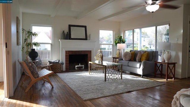 living room with a fireplace, beam ceiling, dark hardwood / wood-style floors, and plenty of natural light