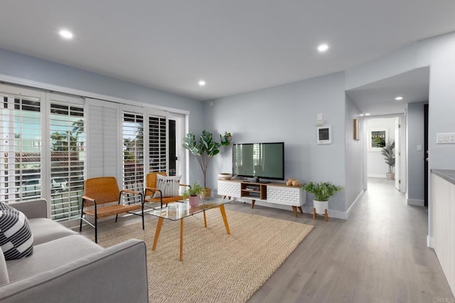 living room with light hardwood / wood-style floors