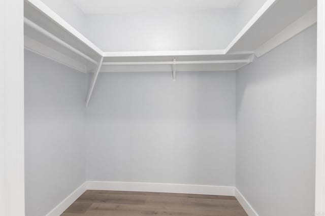 walk in closet with wood-type flooring