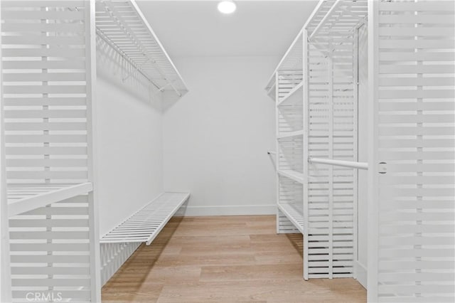 walk in closet with light wood-type flooring