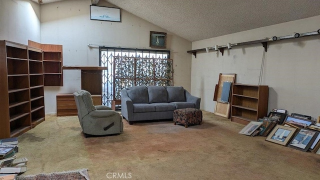 living area featuring high vaulted ceiling, a textured ceiling, and carpet flooring