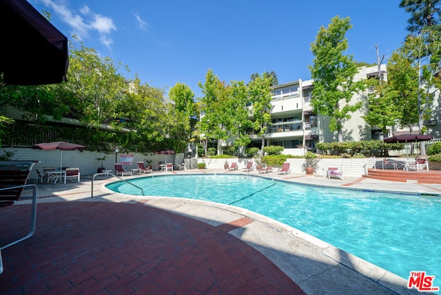 view of pool with a patio area