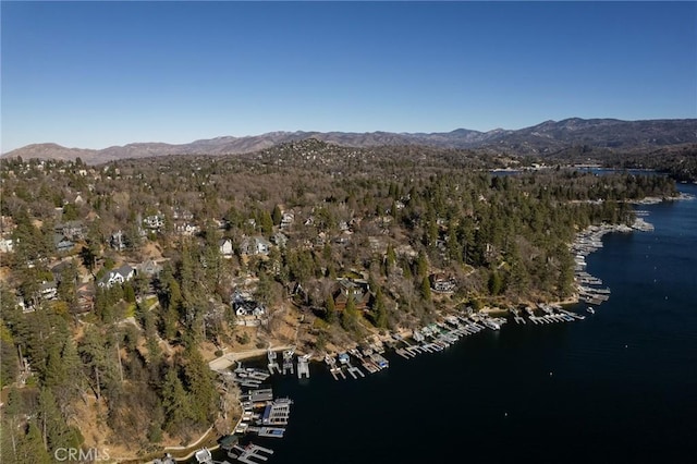 birds eye view of property with a water and mountain view