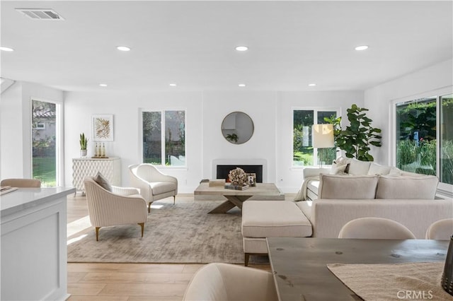 living room with light wood-type flooring and a wealth of natural light