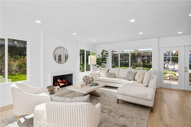 living room with light wood-type flooring and a wealth of natural light