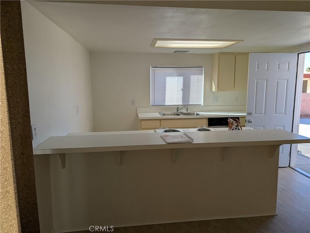 kitchen with a breakfast bar area, sink, plenty of natural light, and hardwood / wood-style flooring