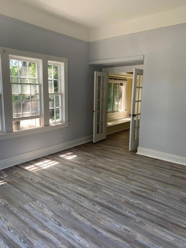 spare room featuring french doors and dark hardwood / wood-style floors