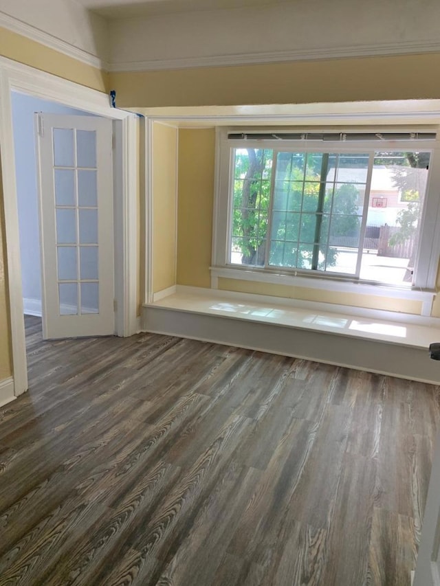 spare room with dark wood-type flooring