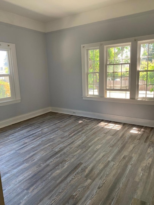 unfurnished room with dark hardwood / wood-style floors