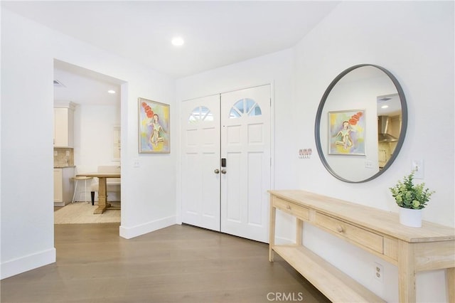 entrance foyer featuring wood-type flooring