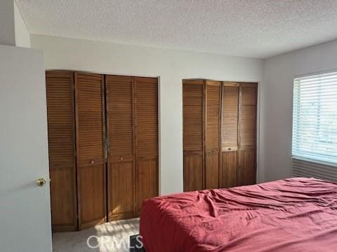 bedroom featuring carpet flooring, a textured ceiling, and multiple closets