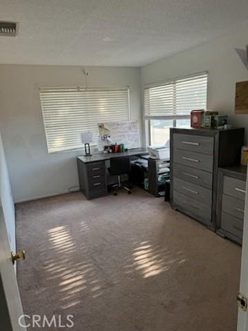 office featuring carpet flooring and a textured ceiling