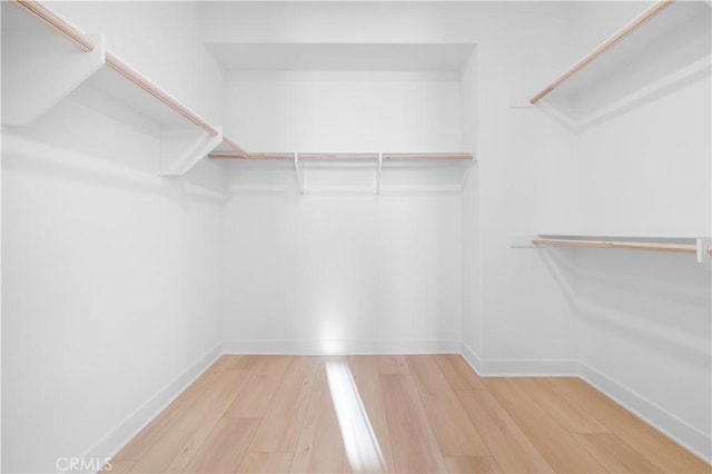 walk in closet featuring wood-type flooring