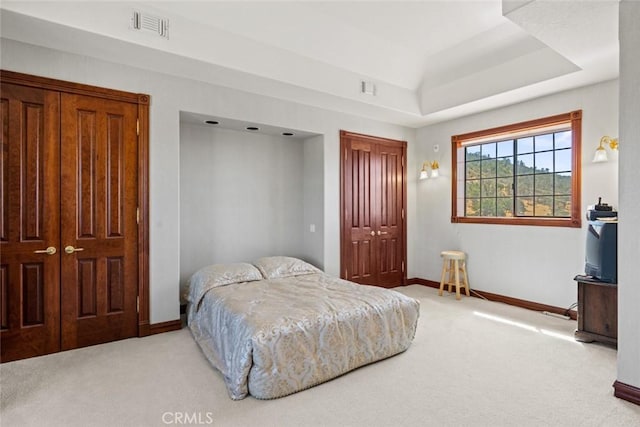 carpeted bedroom with a tray ceiling and a closet