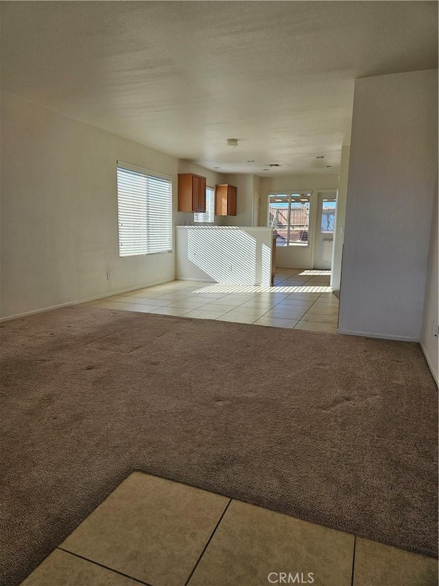 unfurnished living room with light colored carpet