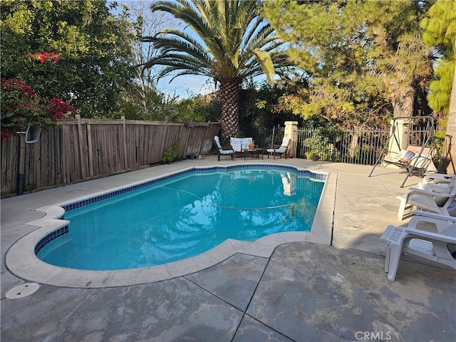 view of swimming pool with a patio area