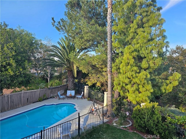 view of pool featuring a patio area