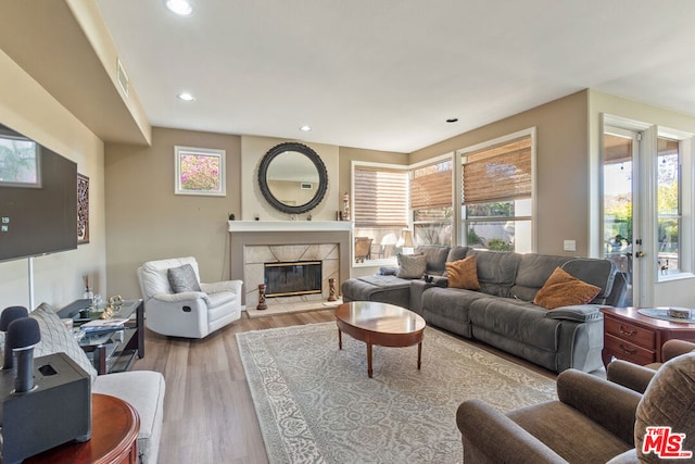 living room with light hardwood / wood-style floors and a fireplace