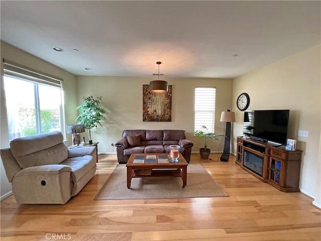 living room featuring a healthy amount of sunlight and light hardwood / wood-style flooring