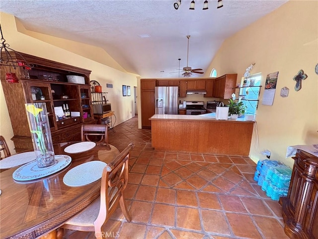 kitchen with ceiling fan, lofted ceiling, stainless steel appliances, and kitchen peninsula