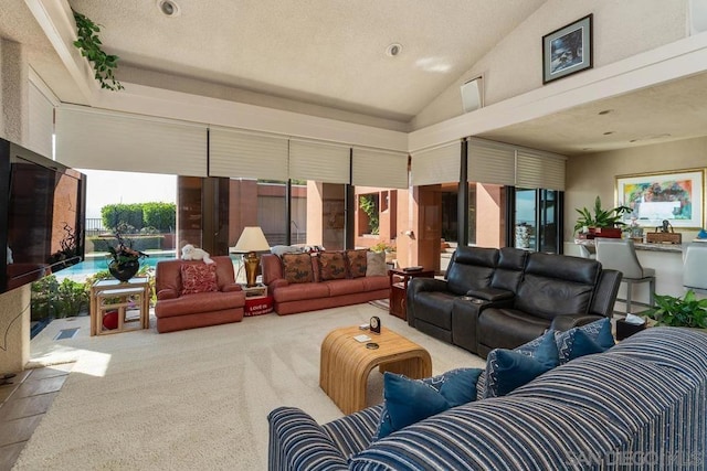 carpeted living room with a textured ceiling and high vaulted ceiling