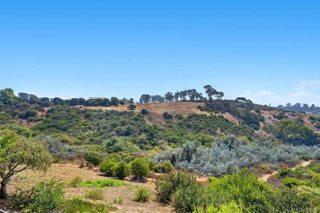 view of mountain feature