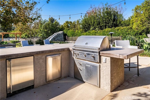 view of patio / terrace with grilling area and exterior kitchen