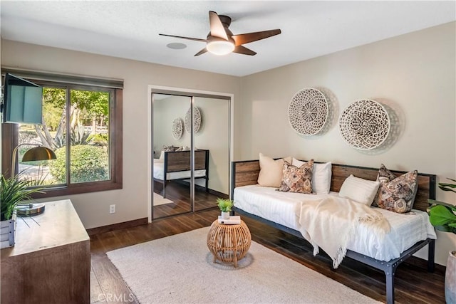 living room featuring ceiling fan and dark wood-type flooring