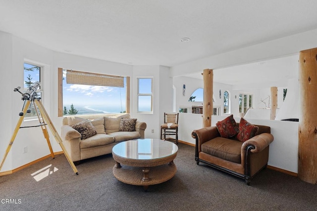 living room with carpet floors