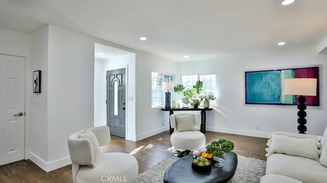 living room featuring dark wood-type flooring