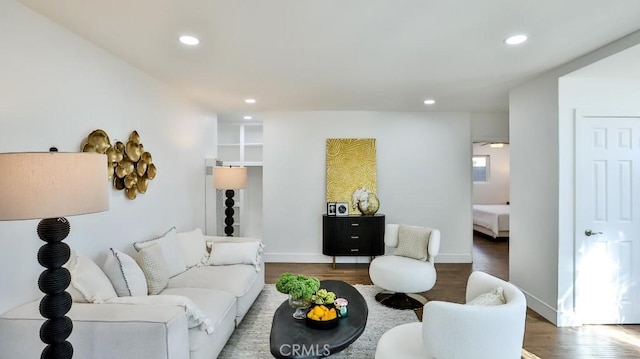 living room featuring wood-type flooring