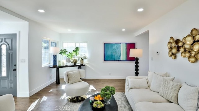 living room featuring dark hardwood / wood-style floors