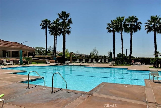 view of pool featuring a patio