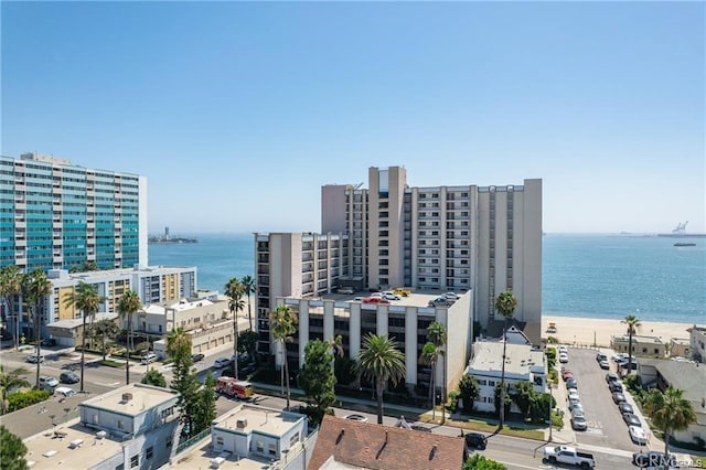 aerial view featuring a water view and a view of the beach