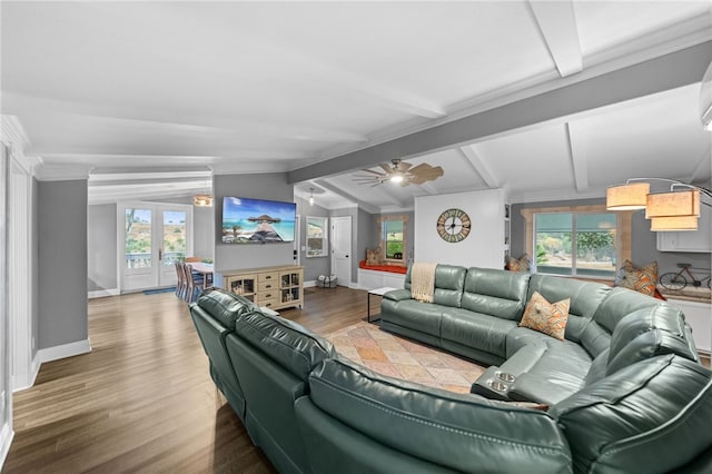 41026 Los Amantes Rd, Temecula, CA 92592 - living area with wood finished floors, healthy amount of natural light, a ceiling fan, and crown molding