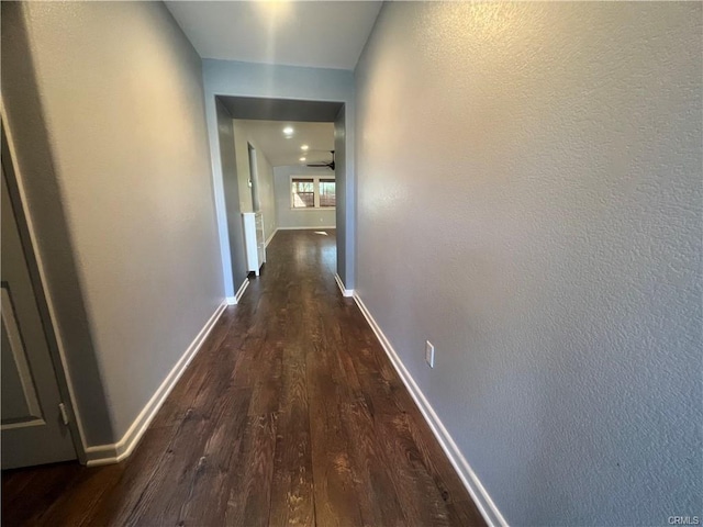 corridor featuring dark hardwood / wood-style flooring