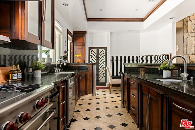 kitchen with appliances with stainless steel finishes, a tray ceiling, and sink