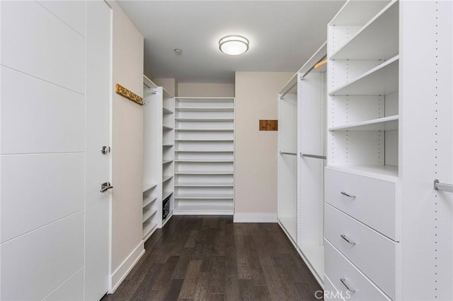 walk in closet with dark hardwood / wood-style floors