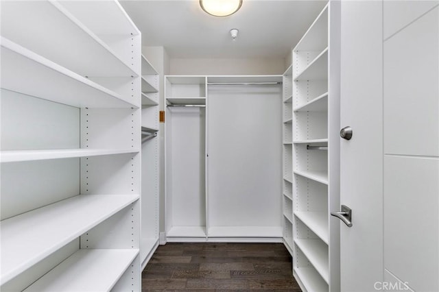 spacious closet featuring dark hardwood / wood-style floors